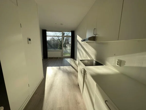 Rental property in Flintstraat, Emmen