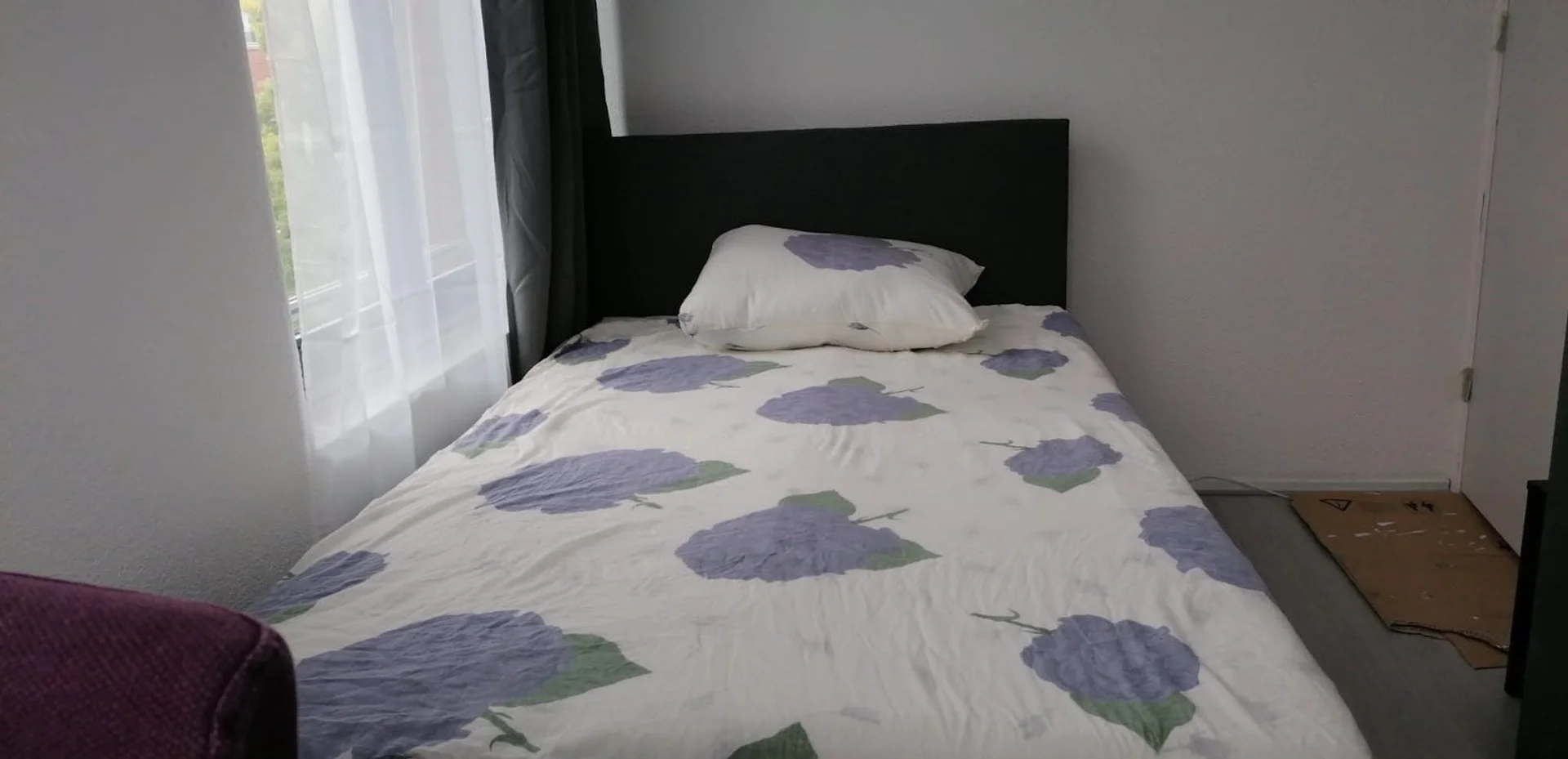 Rental property in Vledderstraat, The Hague