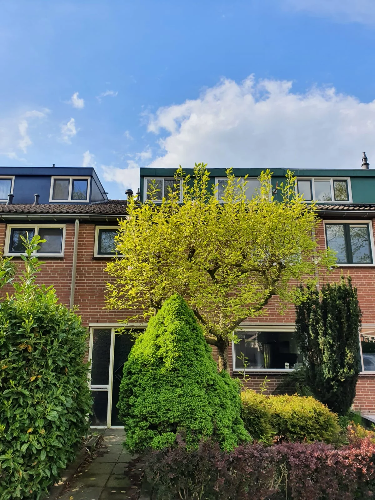 Rental property in Rustenburgerweg, Amersfoort