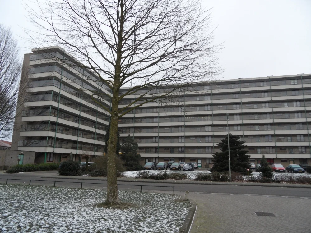Rental property in Schuttersveld 81, Venray