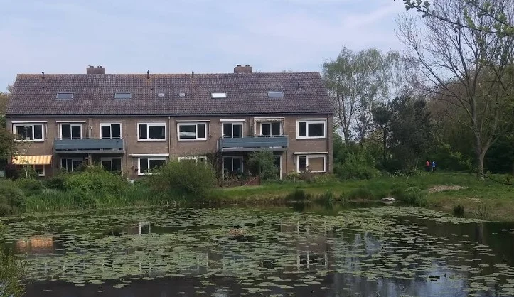 Rental property in Gijsbert Pieterszlaan 20A, Bergen