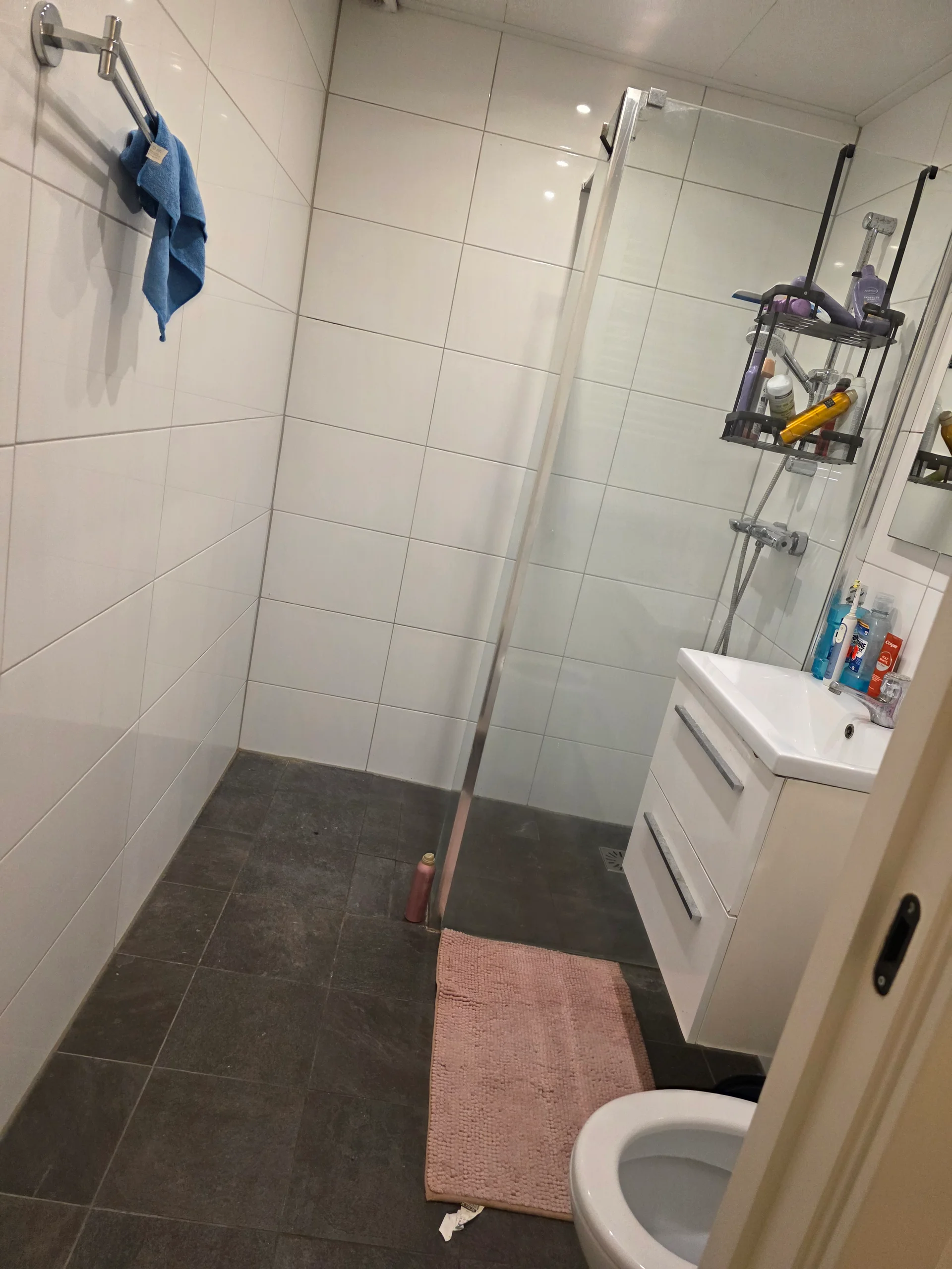 Rental property in Sfinxdreef, Utrecht