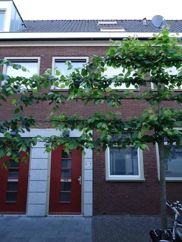 Rental property in Eligenstraat, Utrecht