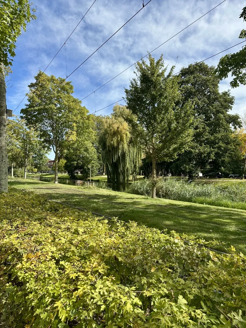 Rental property in Boergoensevliet, Rotterdam