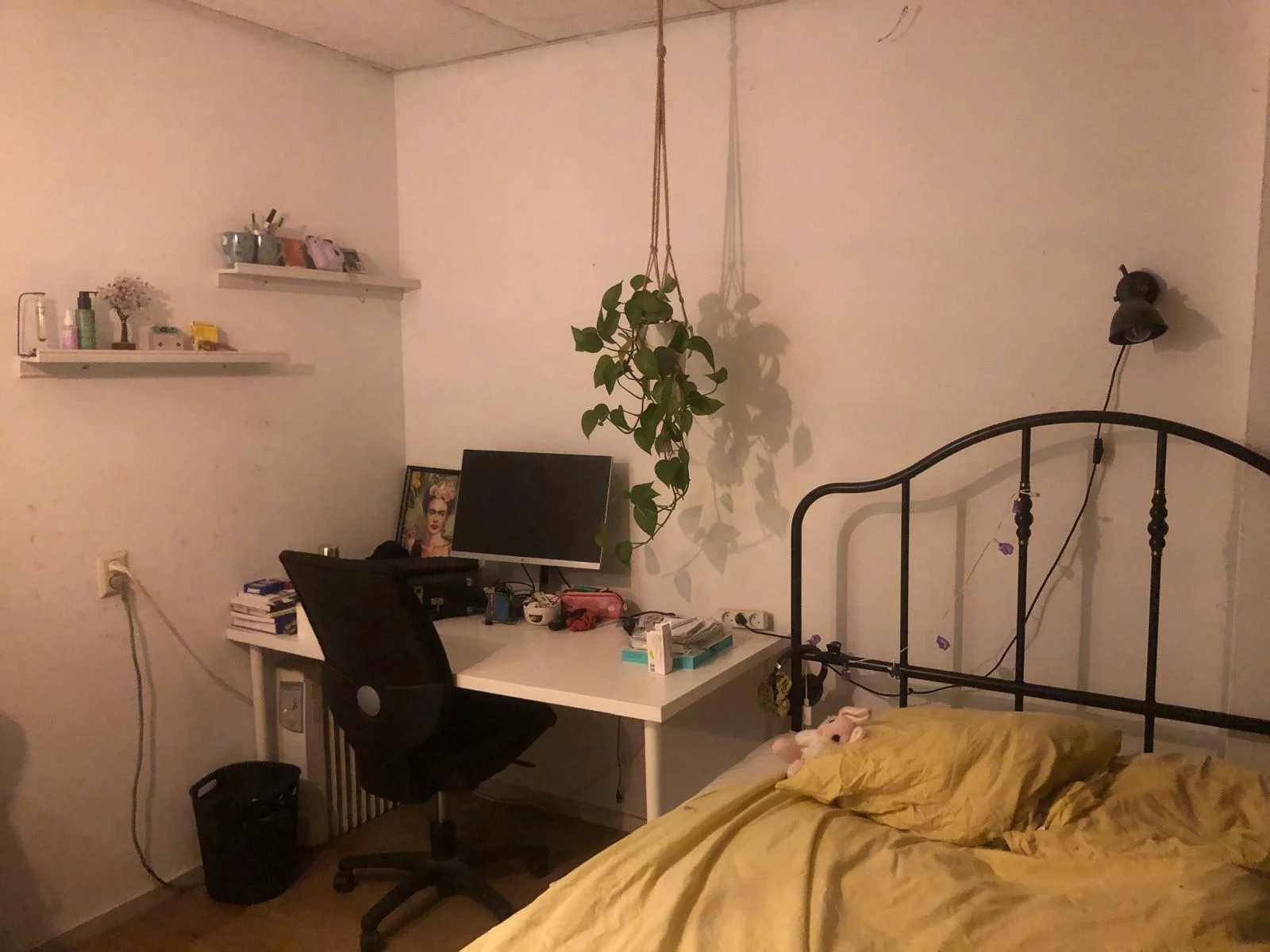 Rental property in Roland Holstlaan 2A, Delft