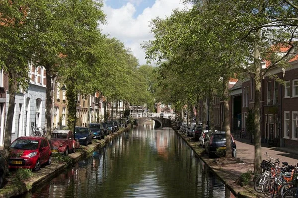 Rental property in Molslaan, Delft