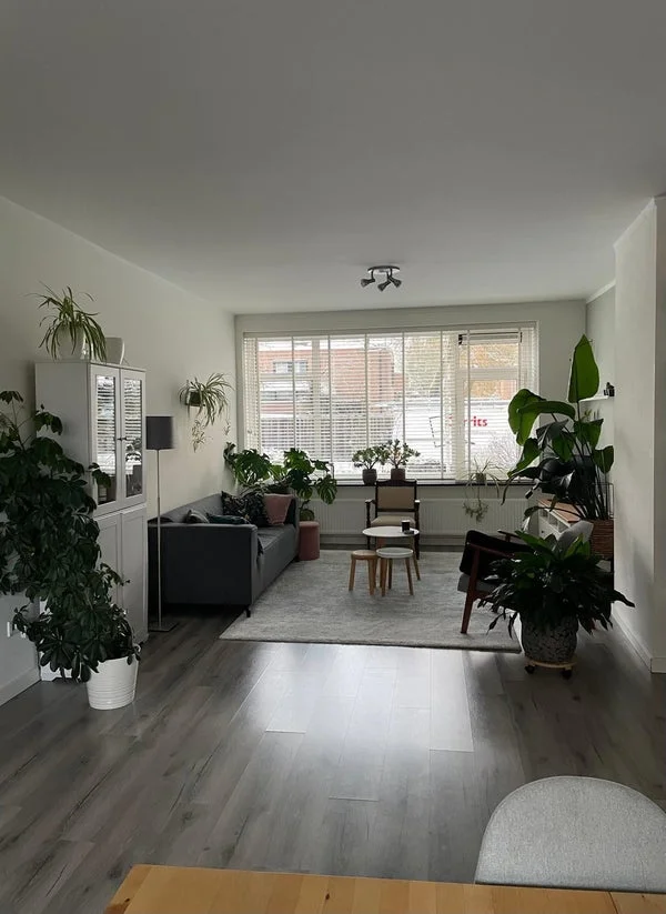 Rental property in Molukkenstraat, Nijmegen