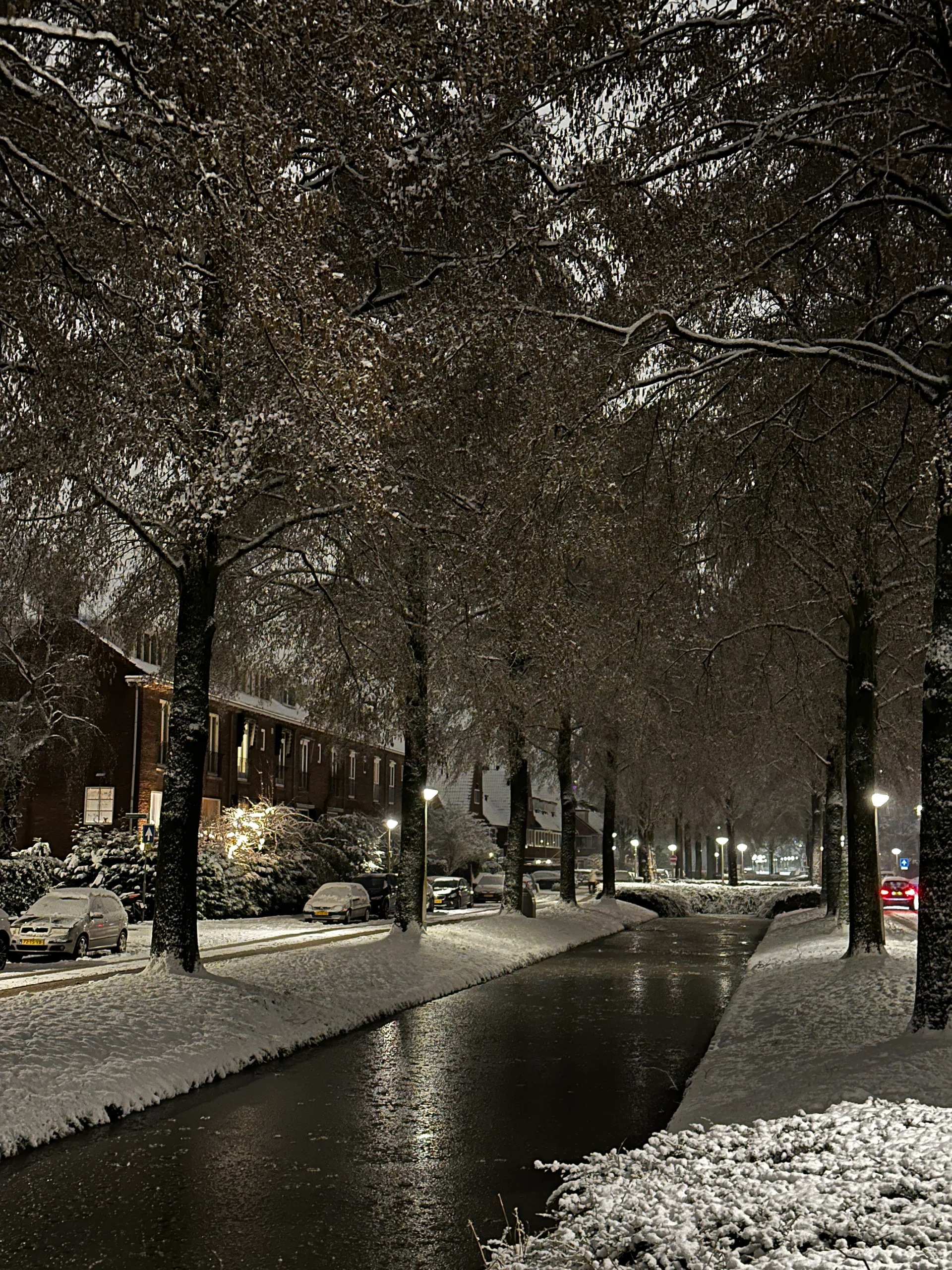 Rental property in Catharina van Clevepark, Amstelveen