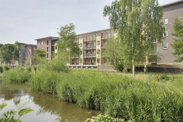 Rental property in Esplanade de Meer, Amsterdam
