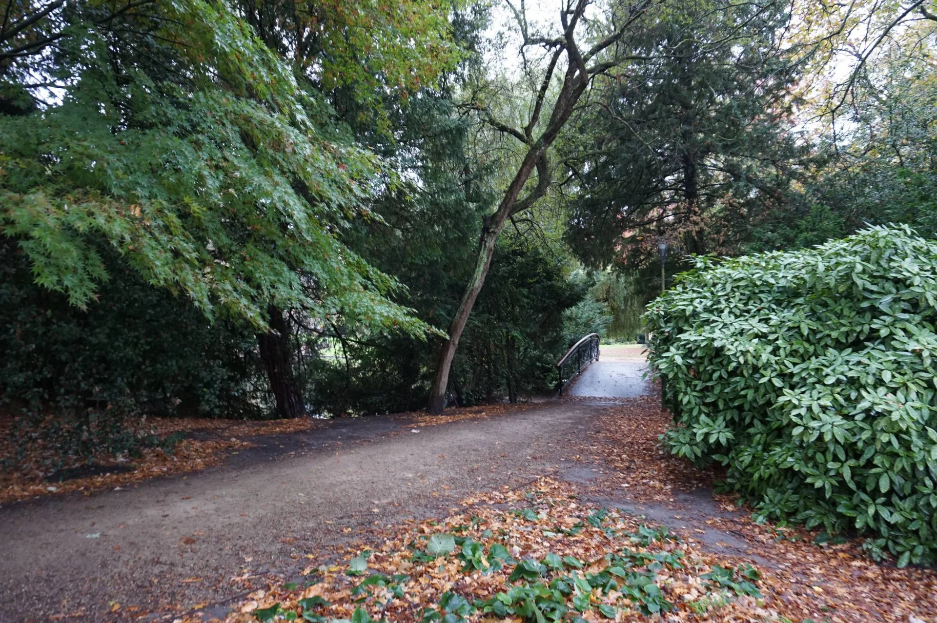 Rental property in Wilhelminapark, Tilburg