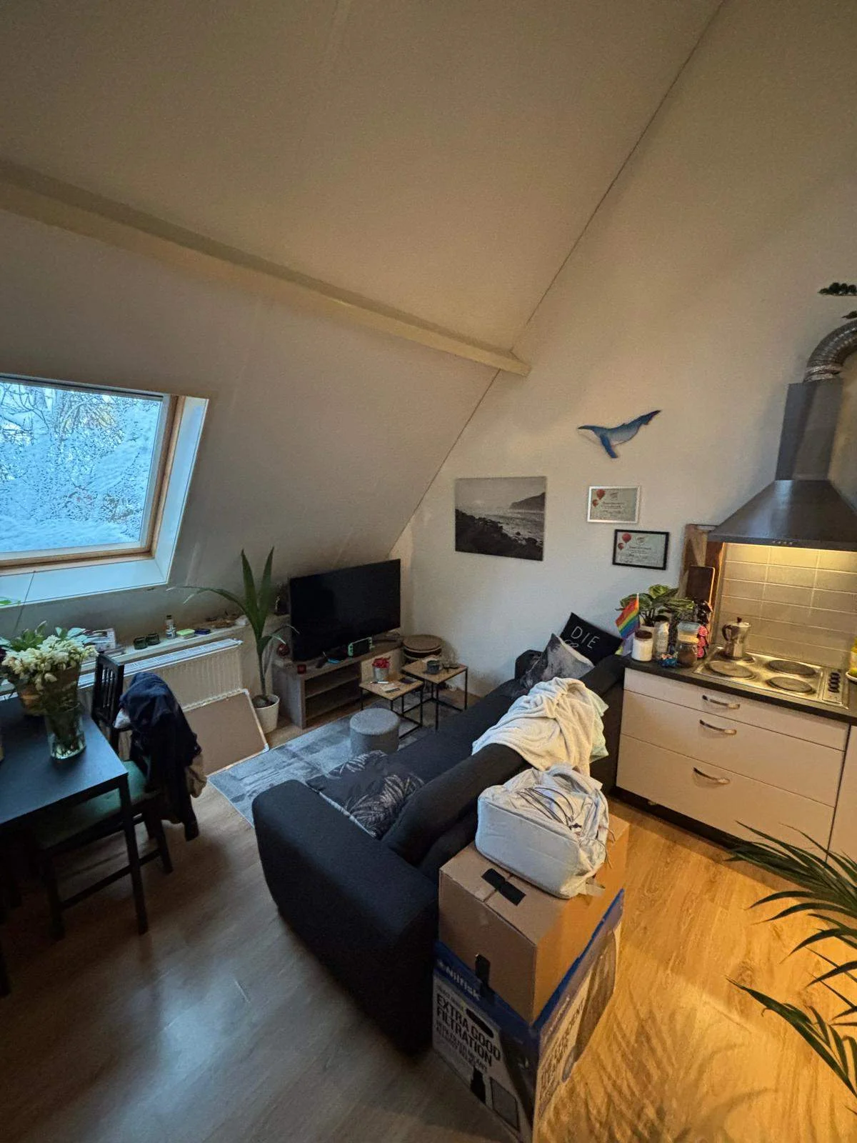 Rental property in Coehoornsingel, Groningen