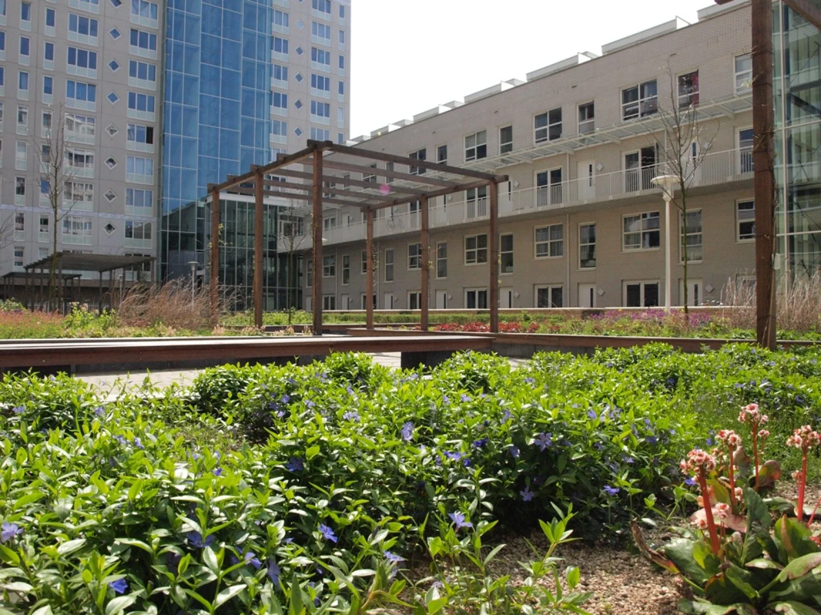 Rental property in Koningin Wilhelminaplein 422, Amsterdam