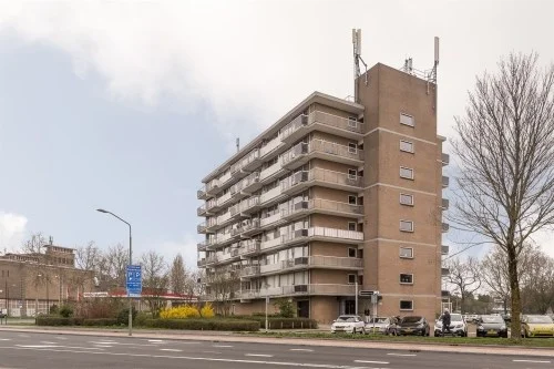 Rental property in Nagtegaalplaats, Dordrecht