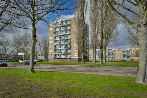 Rental property in Zuidervaart, Zaandam