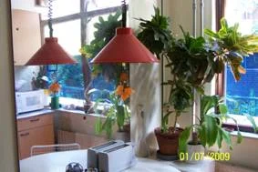 Rental property in Diamantpad, Delft