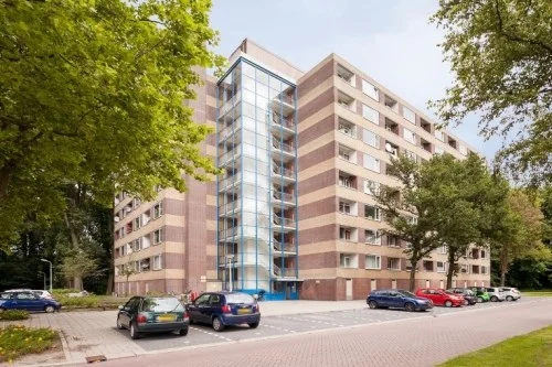 Rental property in Fluitekruidweg, Zaandam
