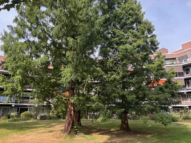 Rental property in Sterrebos 354, Oss