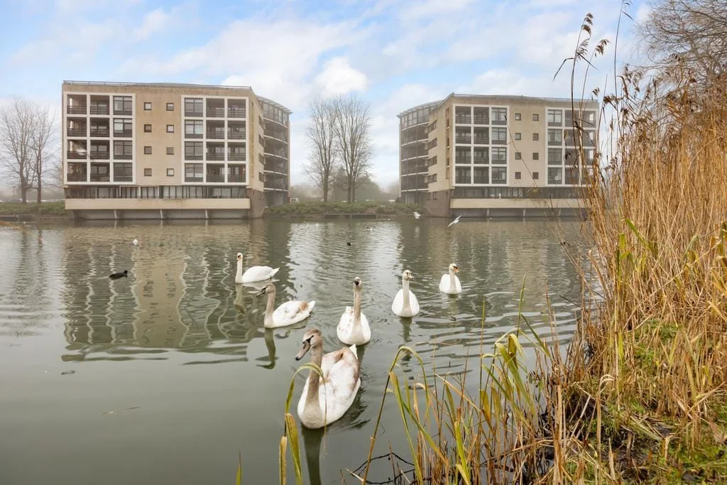 Rental property in Ouverture 45, Almere