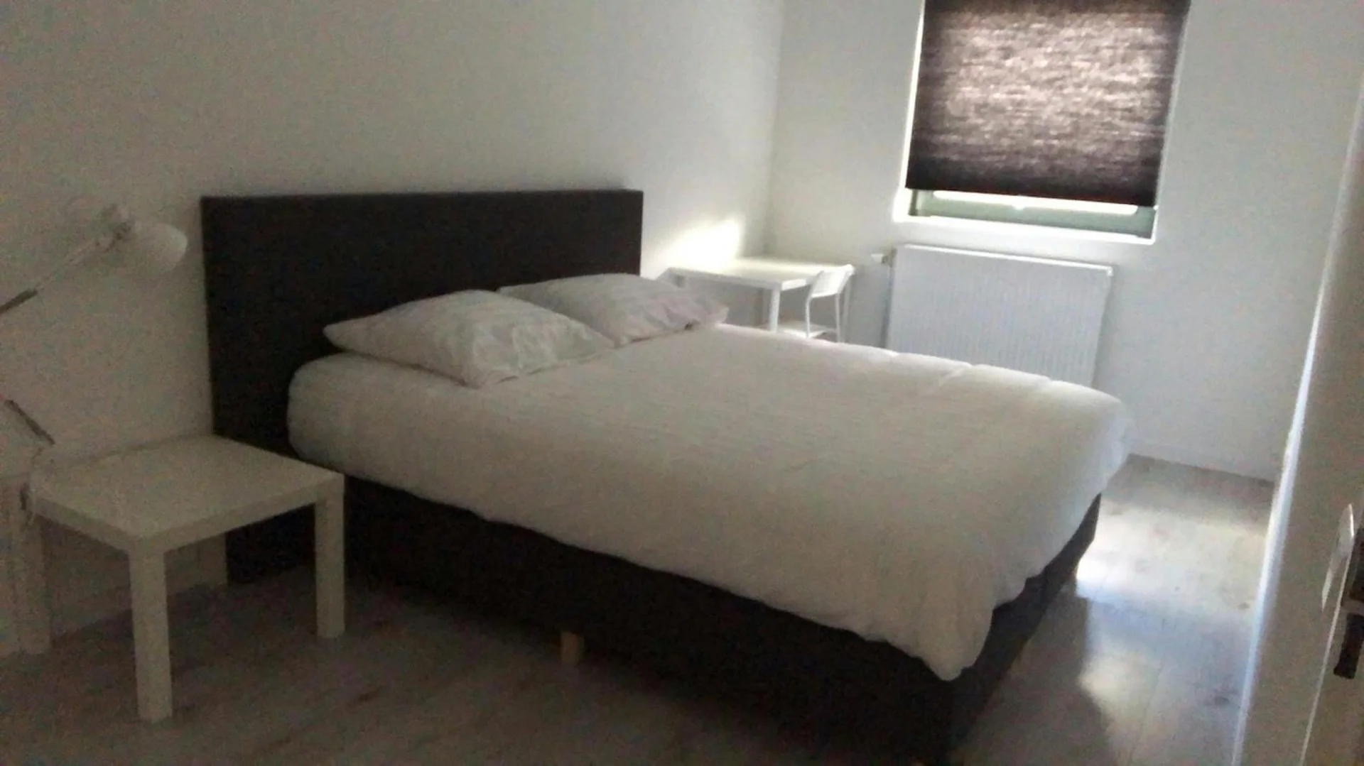 Rental property in Klaroenstraat 1098, Amsterdam