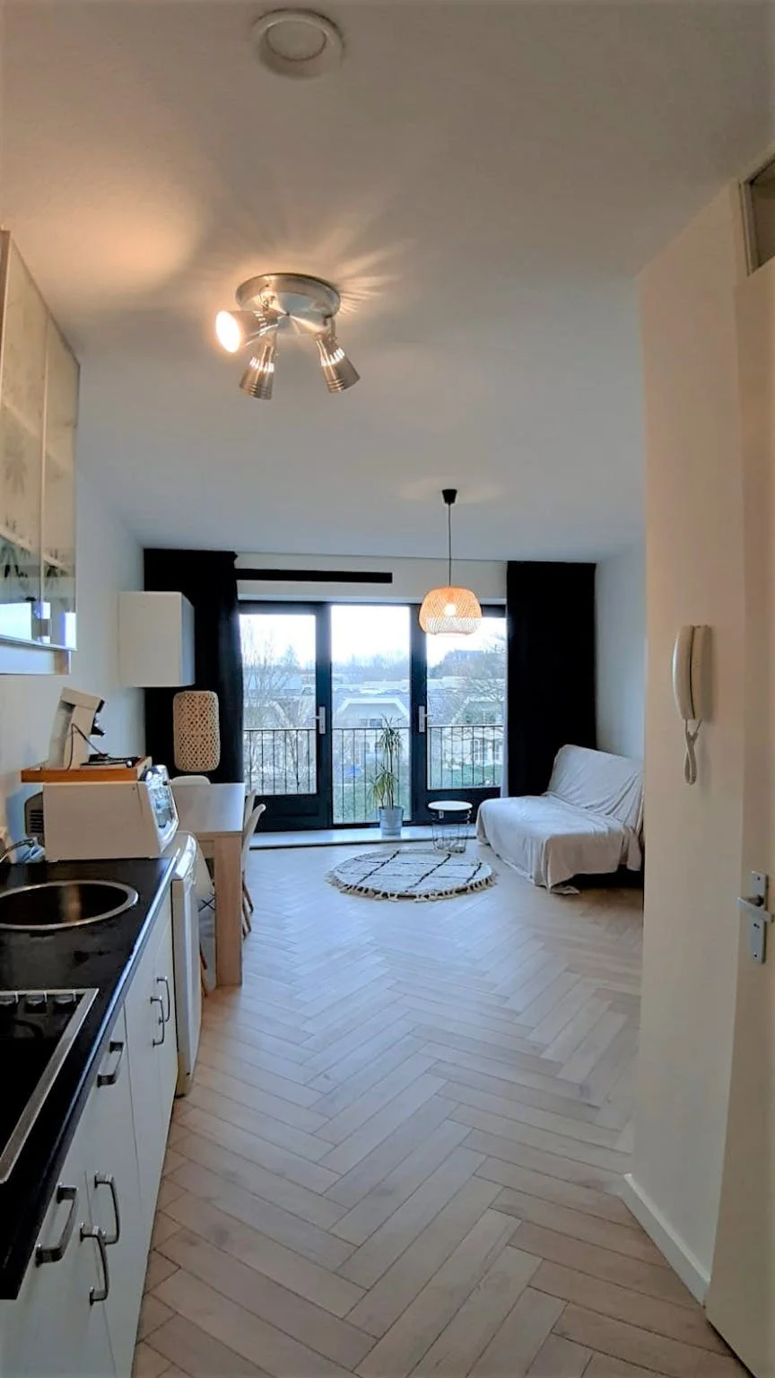 Rental property in Ina Boudier-Bakkerlaan, Utrecht