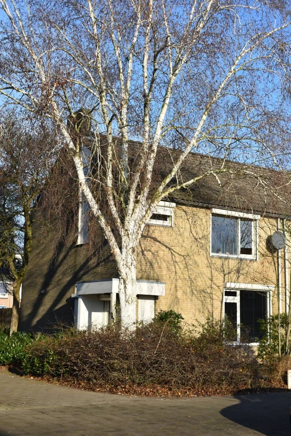 Rental property in Aldendriel, Eindhoven