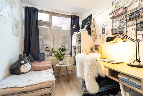 Rental property in Tollensstraat, Leiden