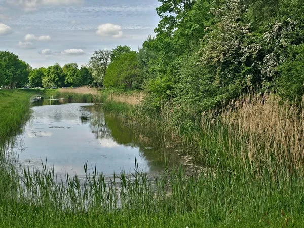 Rental property in Jan Buschstraat, Zwolle