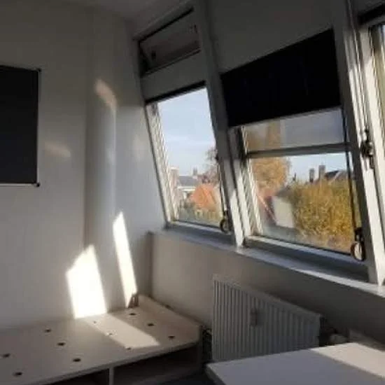 Rental property in Phoenixstraat, Delft