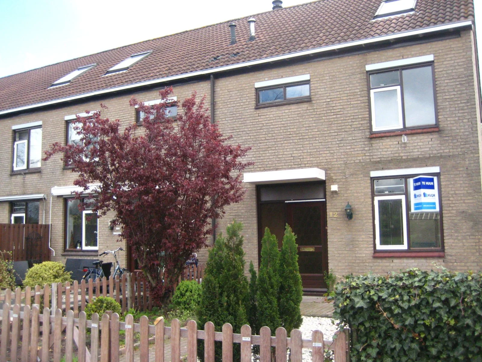 Rental property in Lester Youngstraat 16, Rotterdam