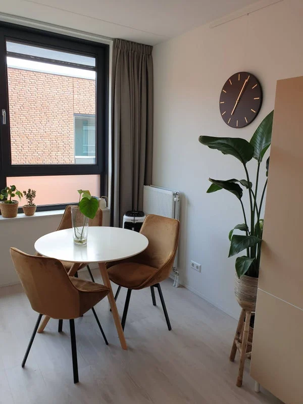 Rental property in Oudlaan, Utrecht