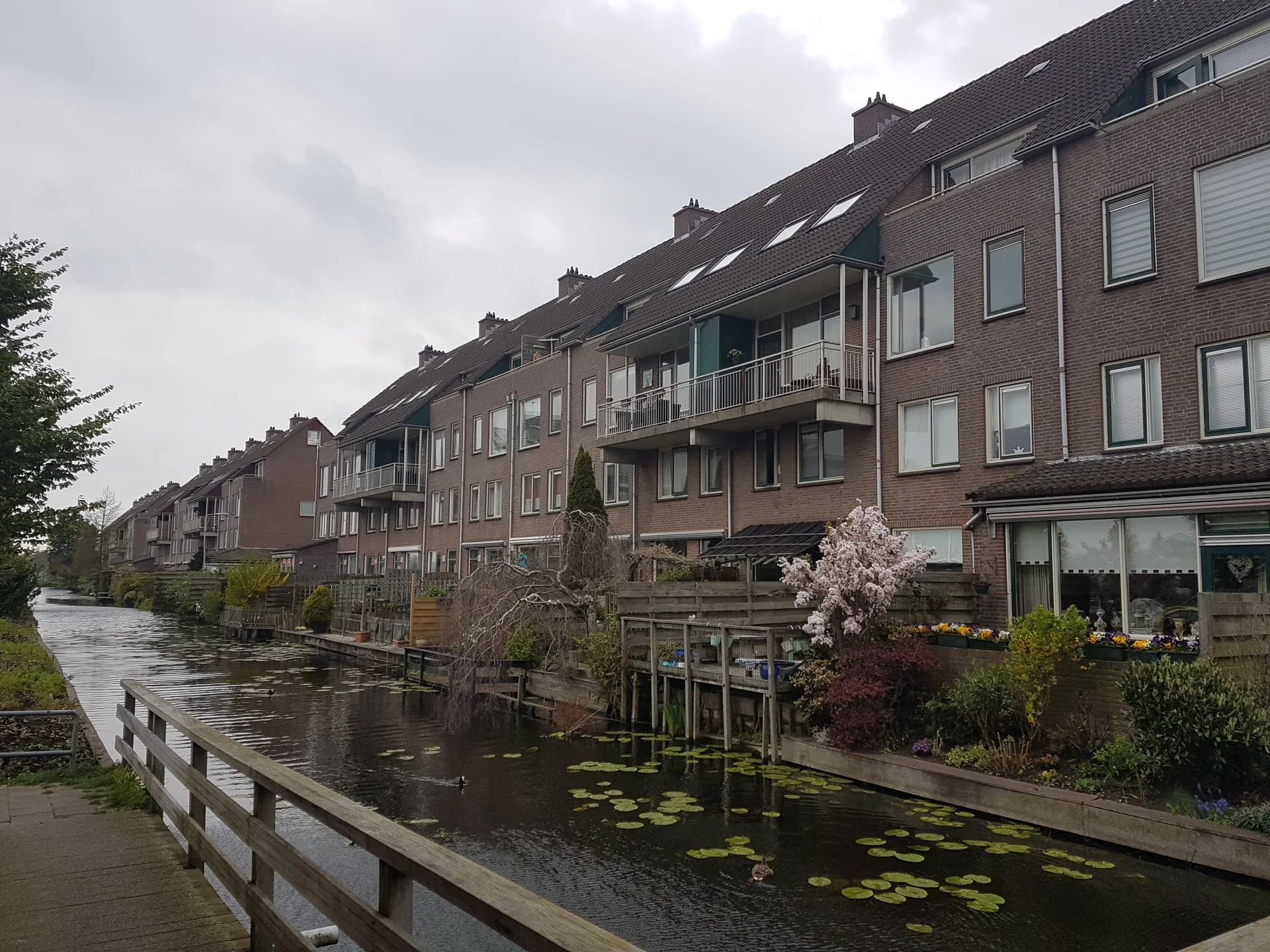 Rental property in Voorofscheweg 160, Boskoop