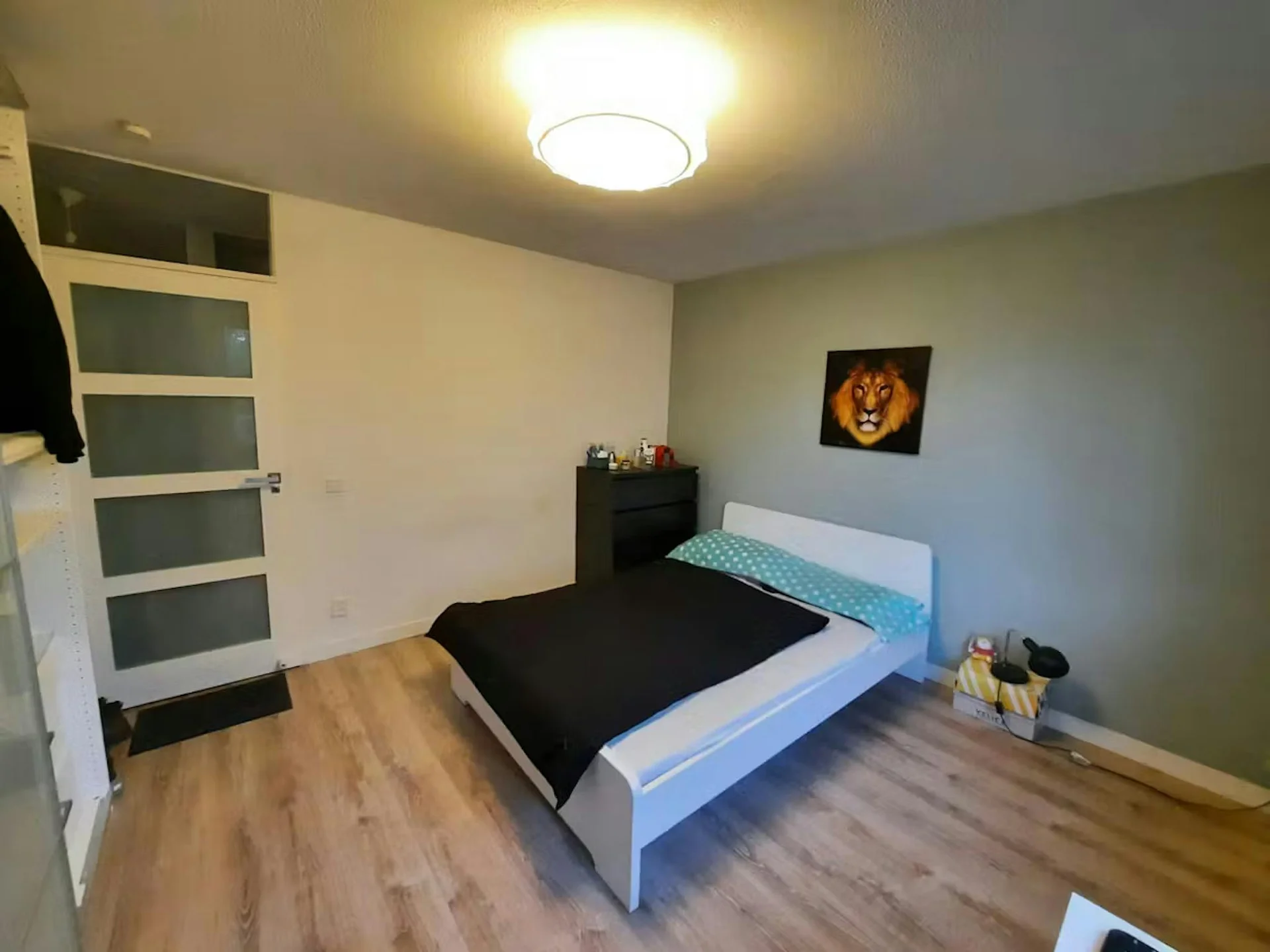 Rental property in Den Uylsingel, Rotterdam