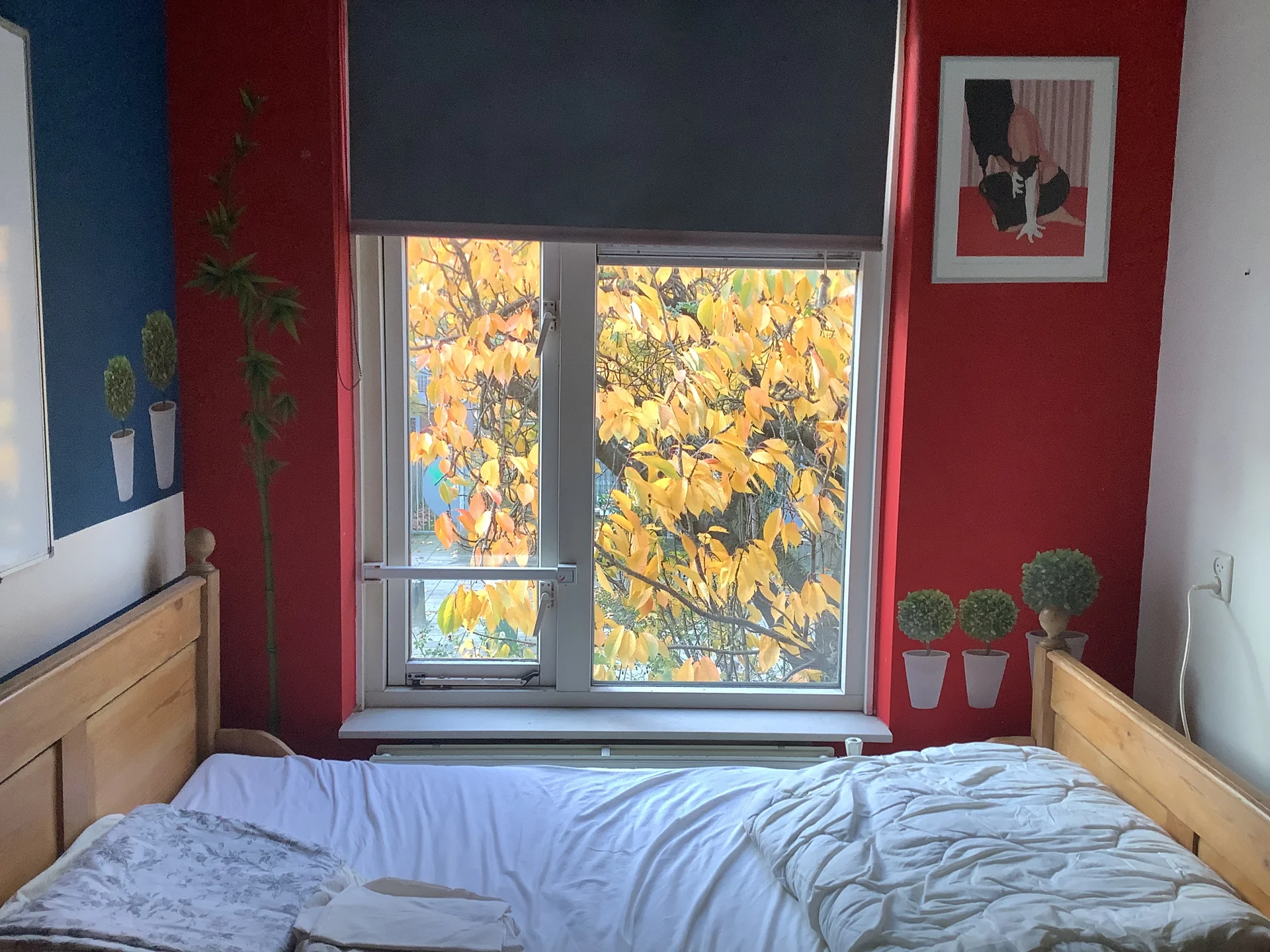 Rental property in Bilderdijkstraat 6512, Nijmegen