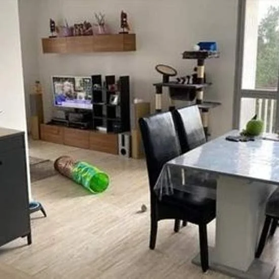 Rental property in Leiden