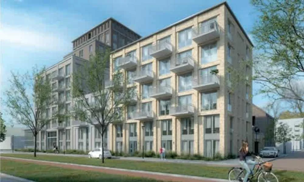 Rental property in Paltrokstraat 21, Zaandam