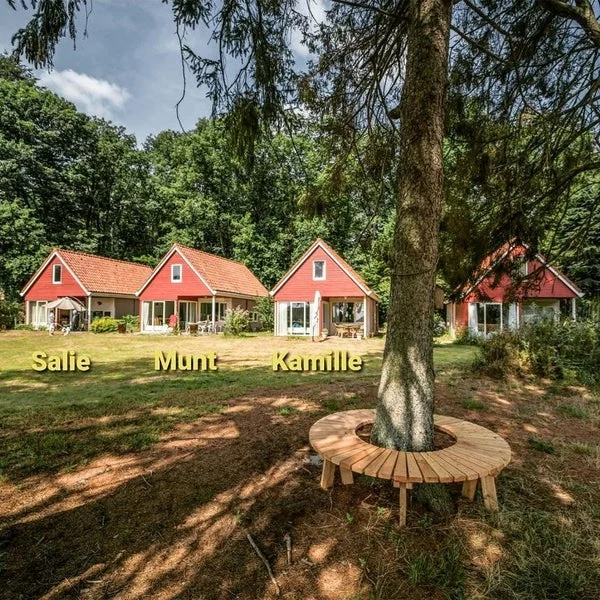 Rental property in Beekbergerweg, Loenen