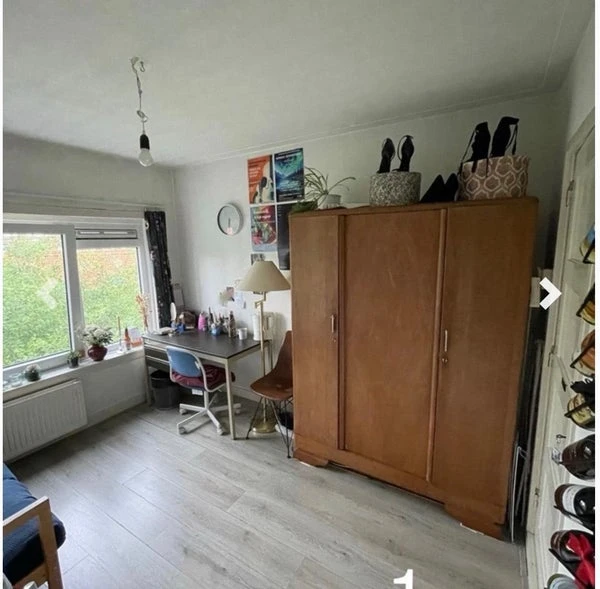 Rental property in Heymanslaan, Groningen