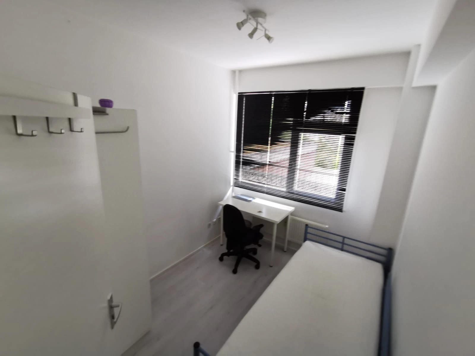 Rental property in Spinozaweg 103, Rotterdam