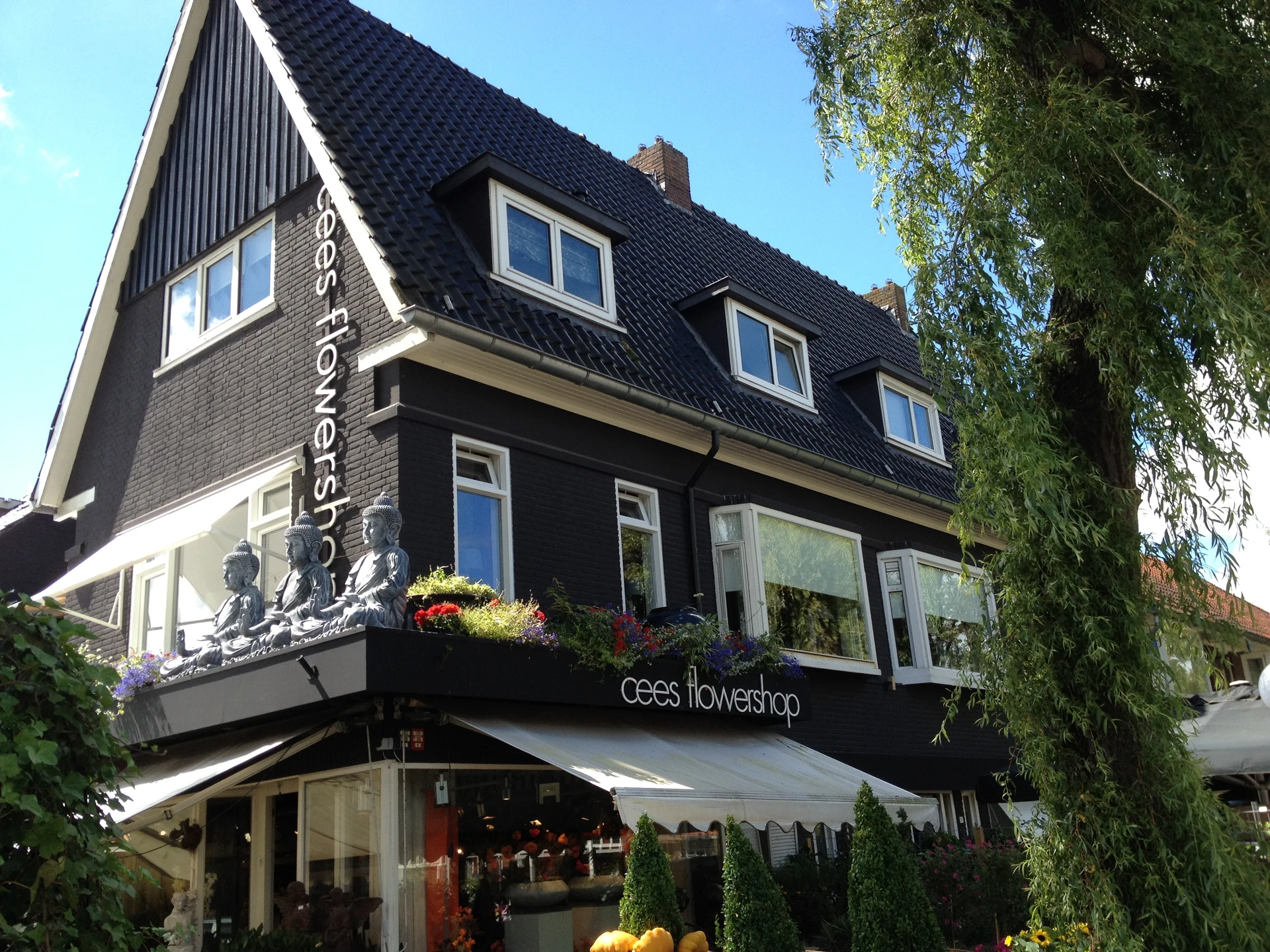 Rental property in Goudenregenstraat, Leeuwarden