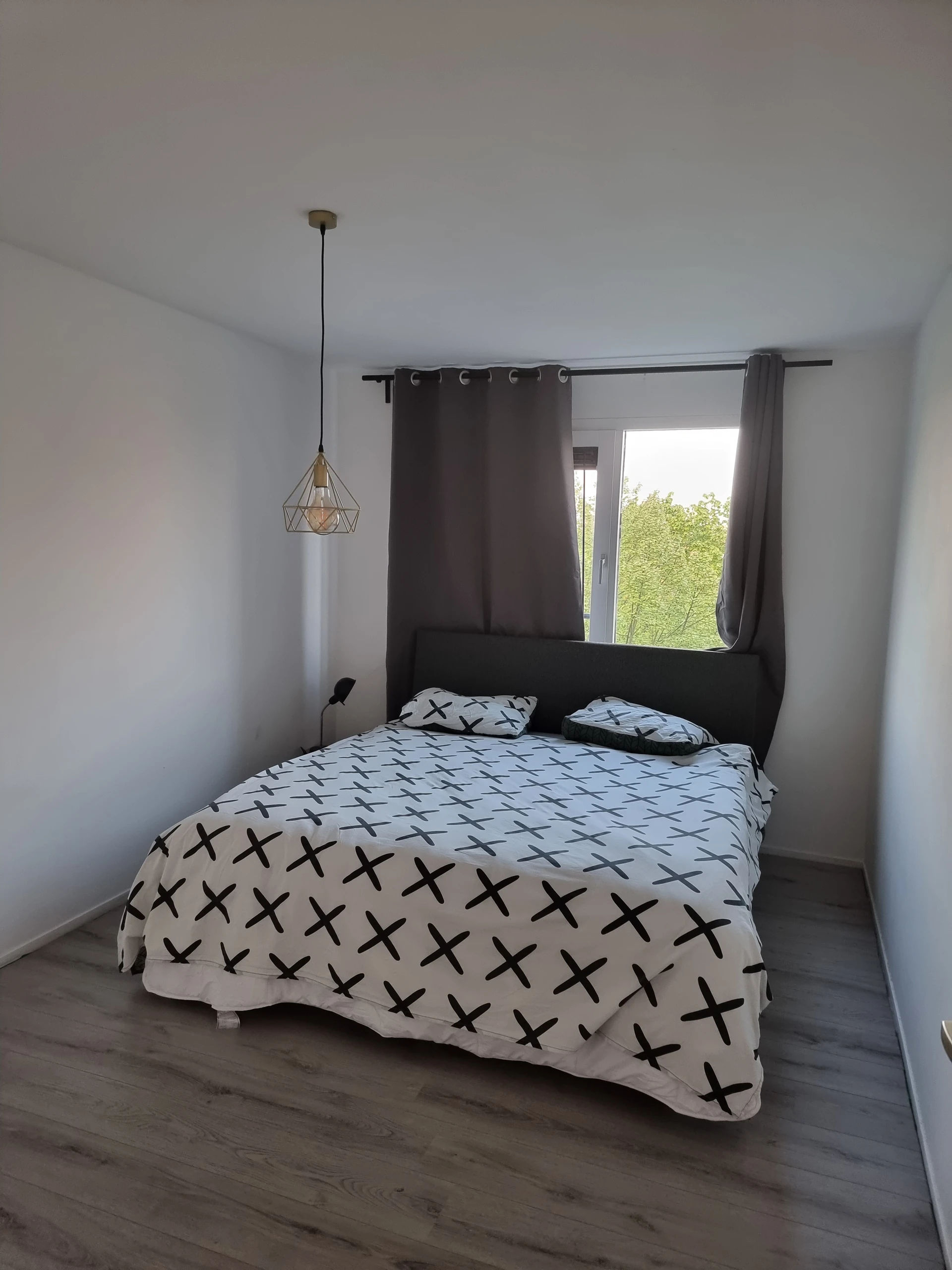 Rental property in Hamontstraat, Amsterdam