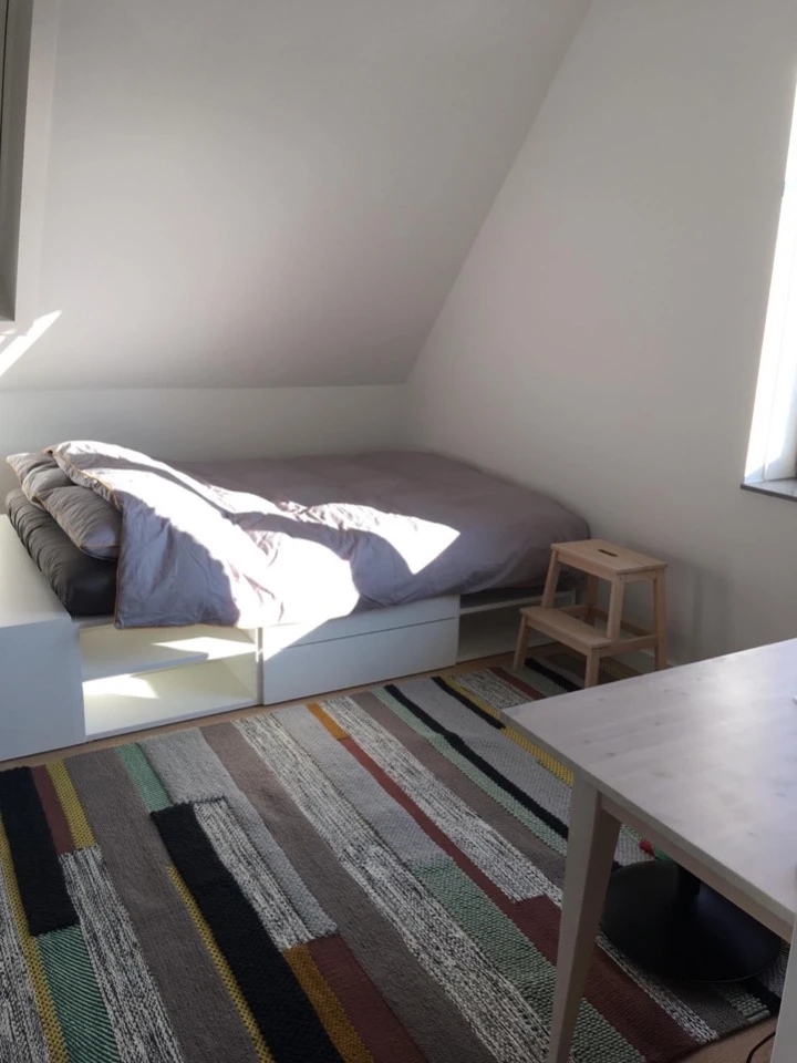 Rental property in Mandelalaan, Amersfoort