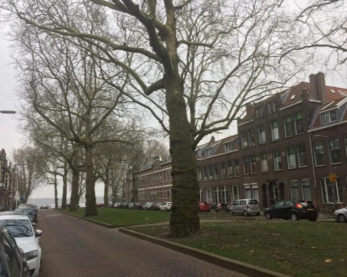 Rental property in Jericholaan, Rotterdam