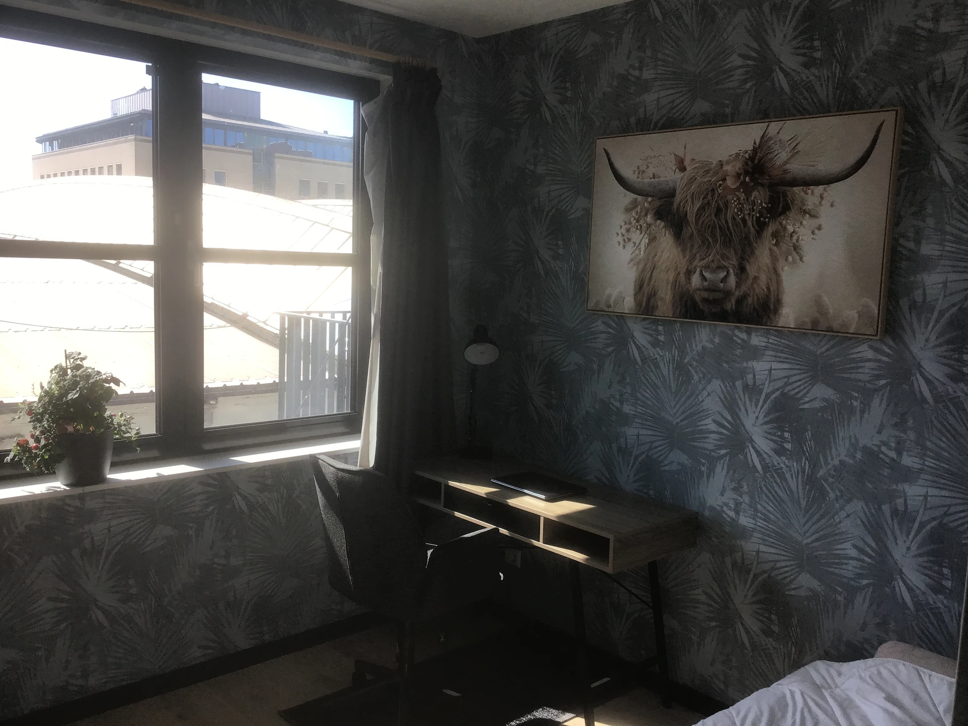 Rental property in Industriestraat, Delft