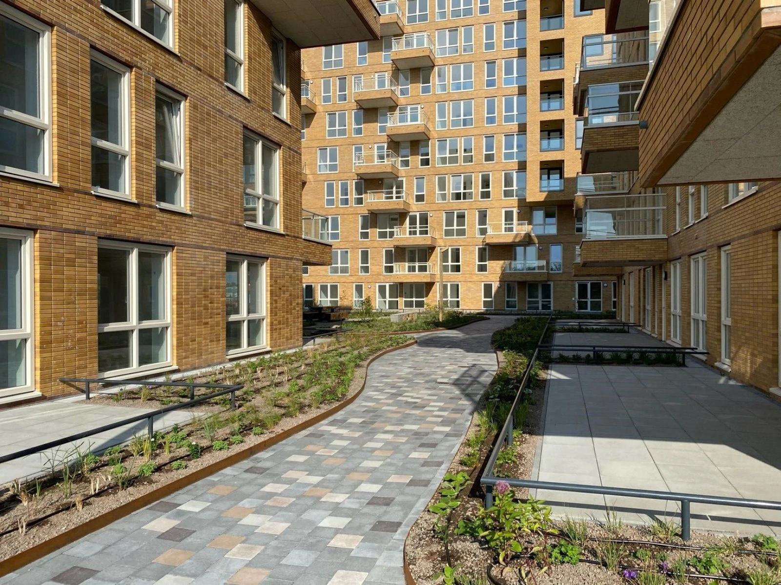 Rental property in Mahoniehout 57, Zaandam
