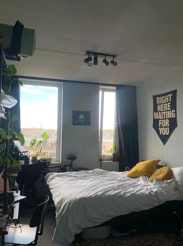 Rental property in Ireneboulevard, Delft
