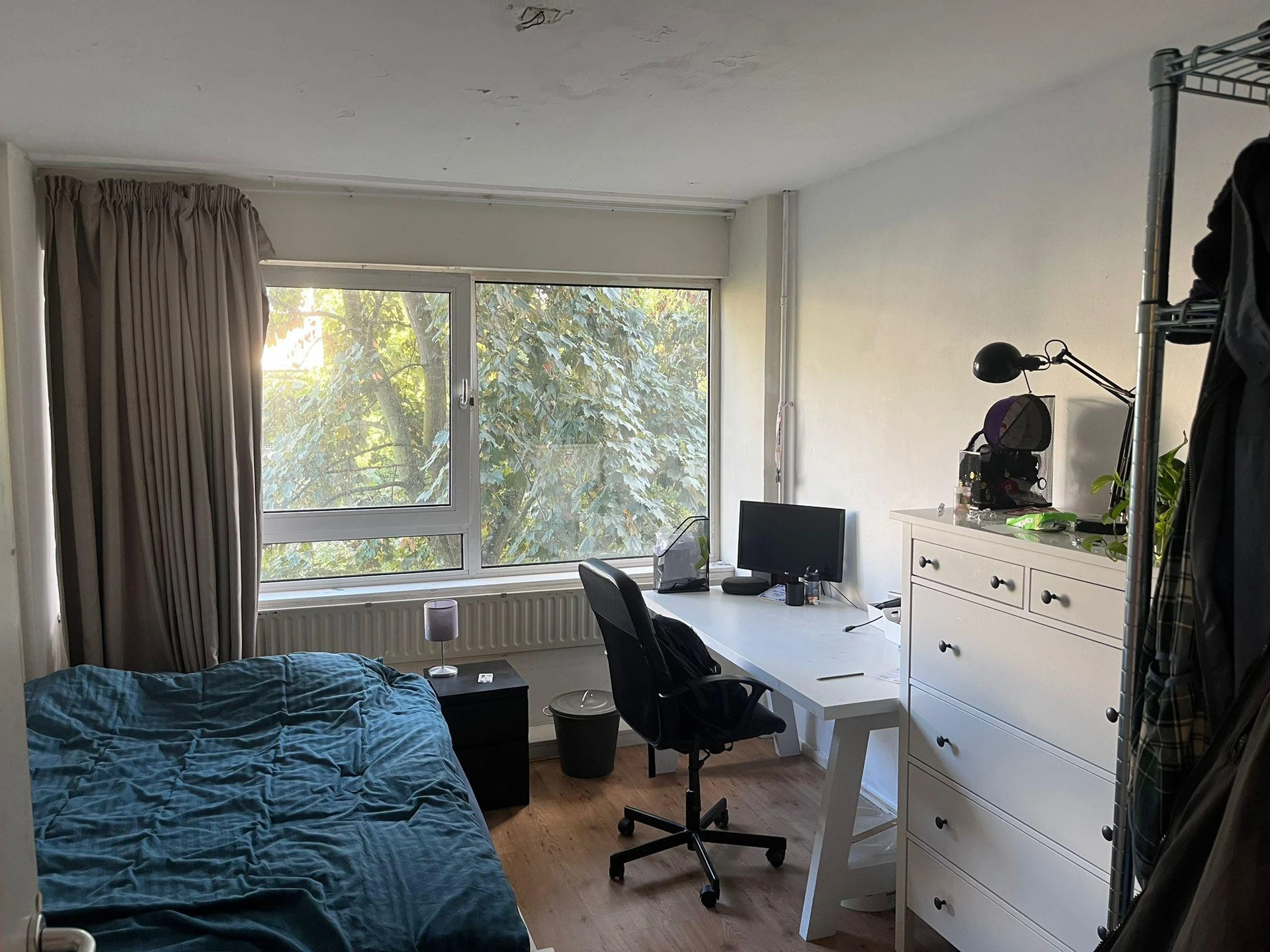 Rental property in Oudraadtweg 5, Delft