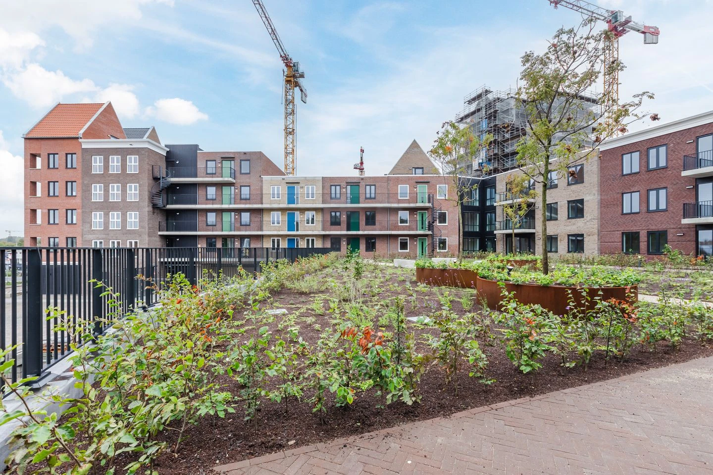 Rental property in De Houthaalder 40, Zaandam