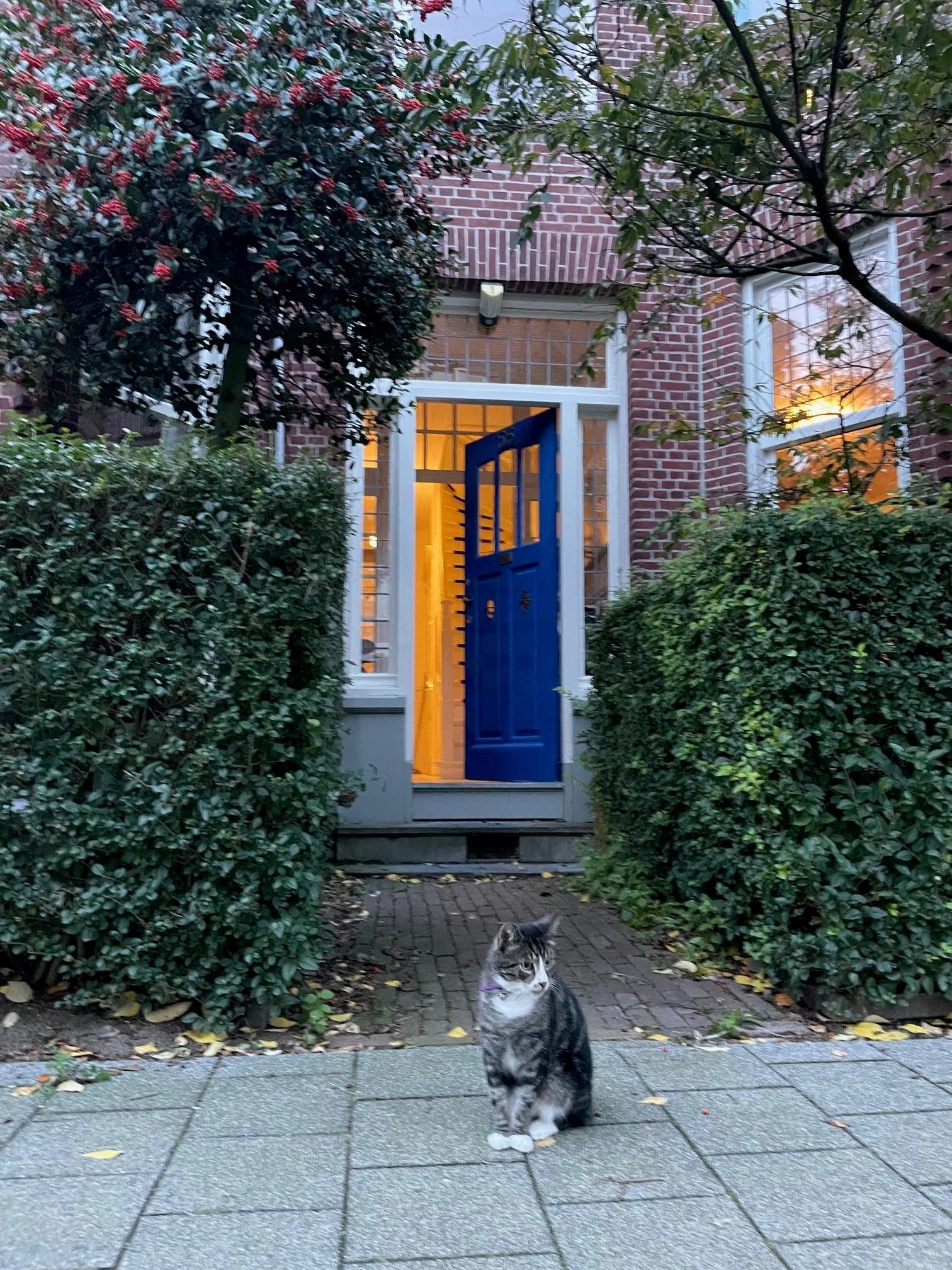 Rental property in Beatrijsstraat, Rotterdam