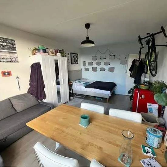 Rental property in Wassenaarseweg, Leiden