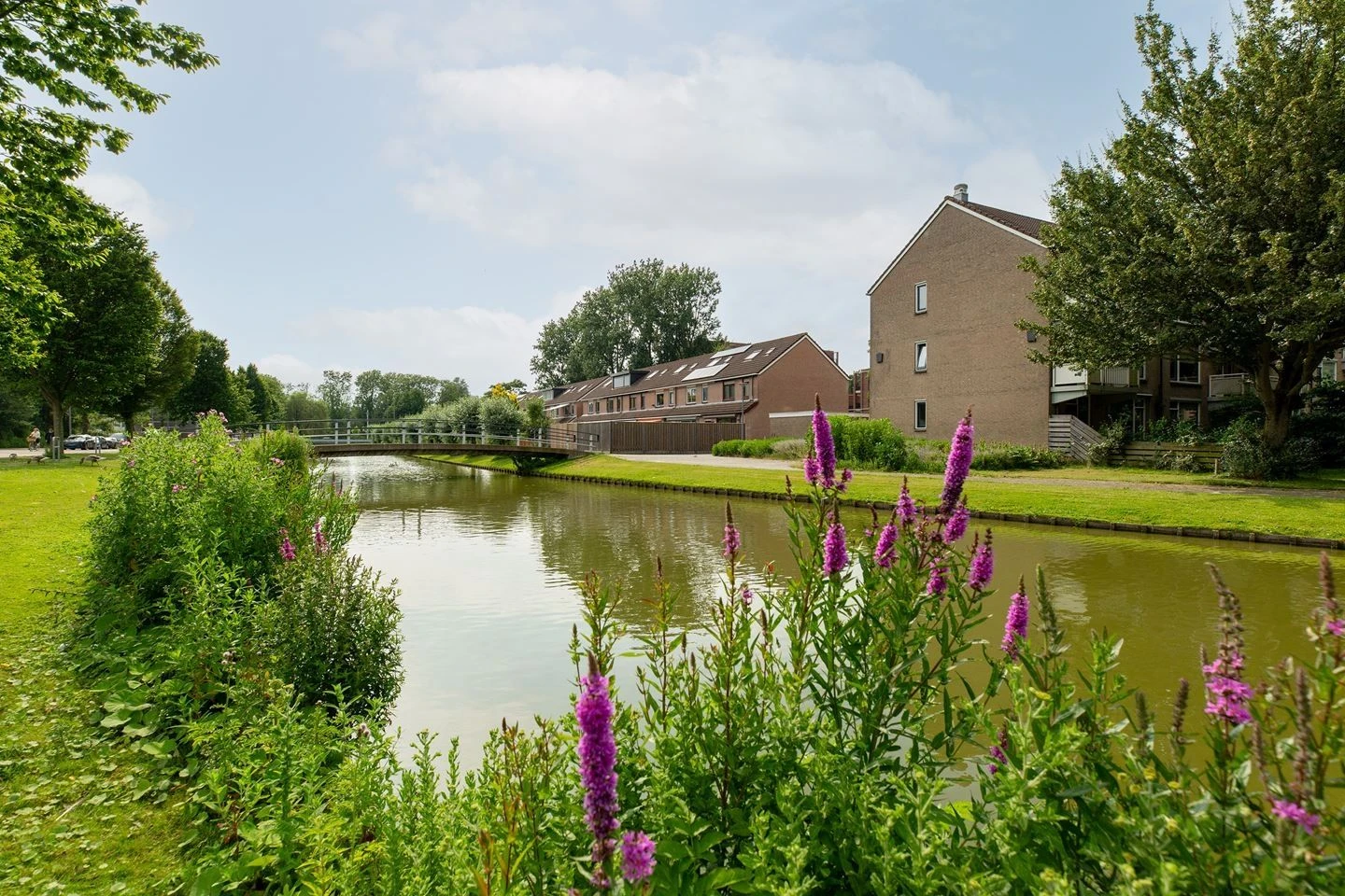 Rental property in Wiardapad 47, Rotterdam